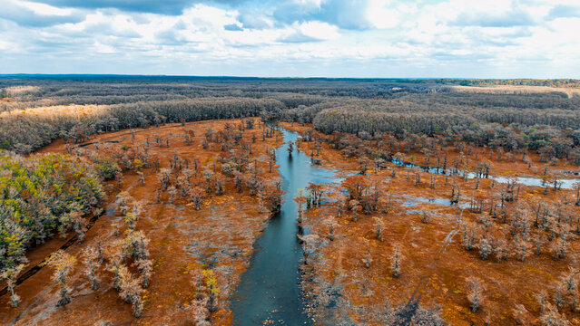 Aerial view of the cypress trees and winding waterways of Caddo Lake in the swampy landscape under a cloudy sky in Texas, United States.