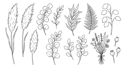 Boho botanical line art collection, hand drawn dried pampas grass and eucalyptus leaves vector, minimalist floral sketches for wedding stationery © Nazim