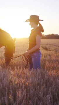 Cowgirl spend time with western horse in wheat field