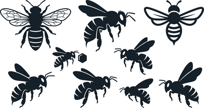 Honey Bee Silhouette Icon Set with Flying Bumblebee and Honeycomb Elements for Organic Honey Branding and Logo Designs