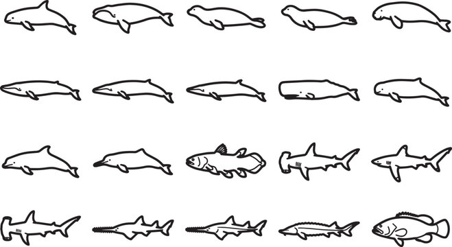 A collection of simple line drawings depicting various marine mammals and fish, showcasing different species of whales, dolphins, seals, and sharks in a clean, minimalist style.