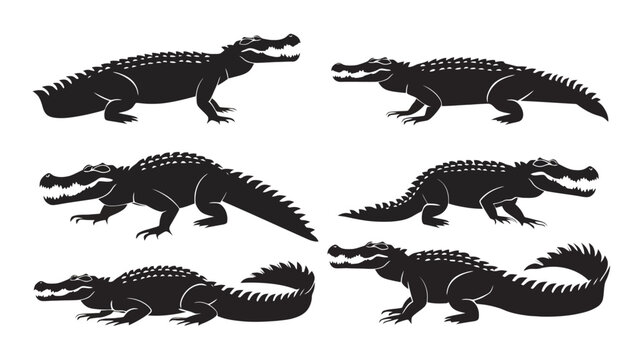Crocodile silhouette vector set, black alligator icons in various poses, 6 wild reptile elements for logo design and wildlife branding