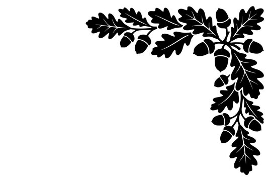 Decorative corner element with oak leaves and acorns silhouette