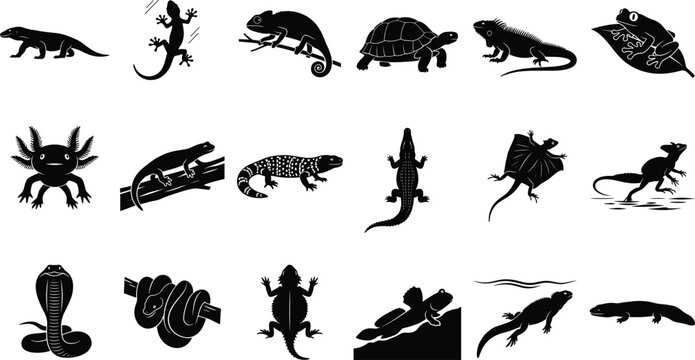 Black reptile and amphibian silhouette icons set featuring lizard snake turtle frog crocodile and exotic herpetology wild animals isolated on white background