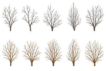 Obraz premium Minimalist bare tree silhouettes, set of 10 winter deciduous tree vectors, leafless branch illustrations for landscape design and architectural site plans