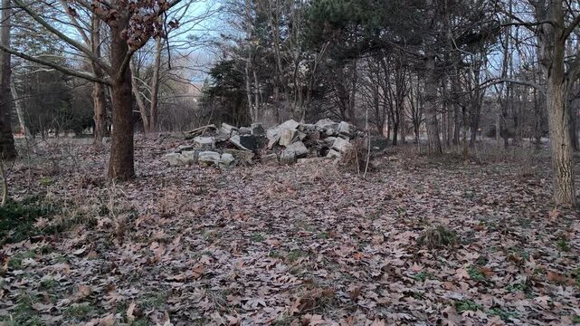 A pile of broken stones sits in a clearing covered with brown fallen leaves. The surrounding bare forest creates a quiet and slightly melancholic mood. This scene shows a cold day in the park.