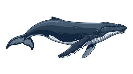A large blue whale swims through the ocean water in a dynamic 014b illustration. © sajjadhossain