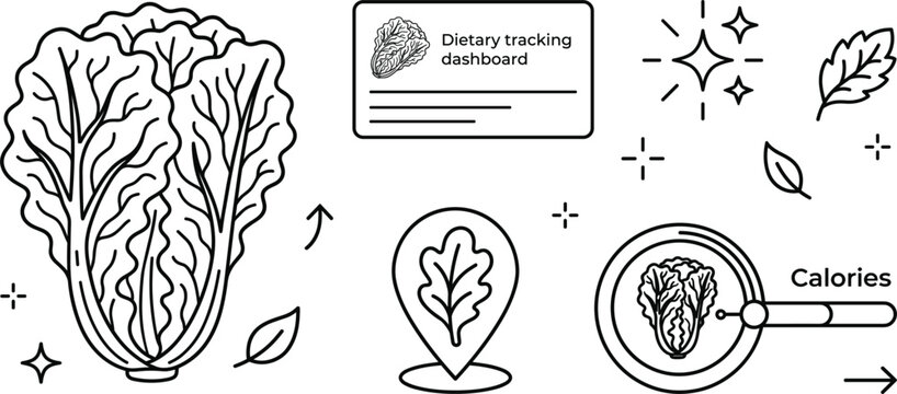 Dietary Tracking Dashboard Icon Set Featuring Lettuce Cabbage Calorie Counter And Map Pin