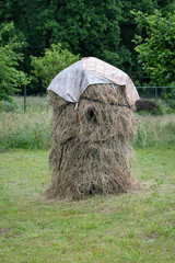 A covered hay drying rack with a tarp on a meadow. © lapis2380