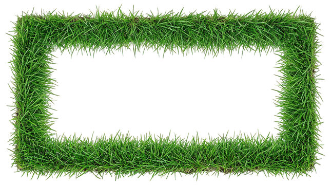 Green Grass Border Rectangle Frame Isolated Transparent Background PNG Realistic Lawn Patch Turf Field Fresh Meadows Foliage Botanical Nature Banner