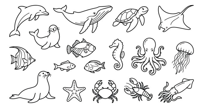 Hand-drawn sea animal vector icons, minimalist black outline ocean life collection, 18 underwater creature illustrations for coloring and education