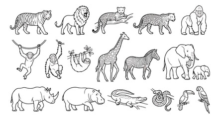 Obraz premium Wild animal line art collection, 18 safari and jungle wildlife vector icons, black and white zoo animal illustrations for coloring and education