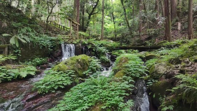 瓜割の滝【２】
