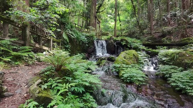 瓜割の滝【１】