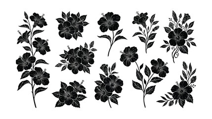 Black hibiscus flower silhouettes set, tropical floral vector illustrations with leaves, 10 botanical blossom elements for summer wedding design © xantii