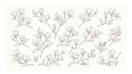 Vintage magnolia flower line art set, hand drawn botanical sketches of blooming branches, elegant floral vector elements for wedding invitations © xantii
