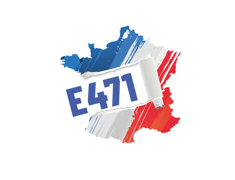 additif alimentaire E471 (&eacute;mulsifiant) - mono et diglyc&eacute;rides d'acides gras
