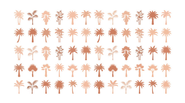 Boho palm tree silhouettes collection, 60 tropical plant icons in terracotta and beige, minimalist summer vacation vector elements for branding