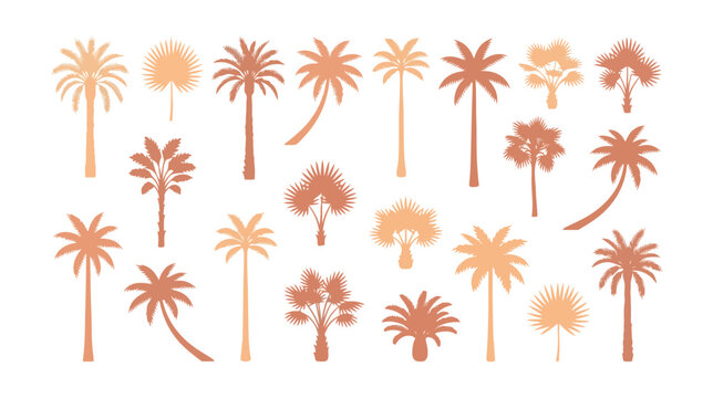 Boho palm tree silhouettes in terracotta and beige, set of 20 tropical plant vector icons, minimalist summer aesthetic botanical elements