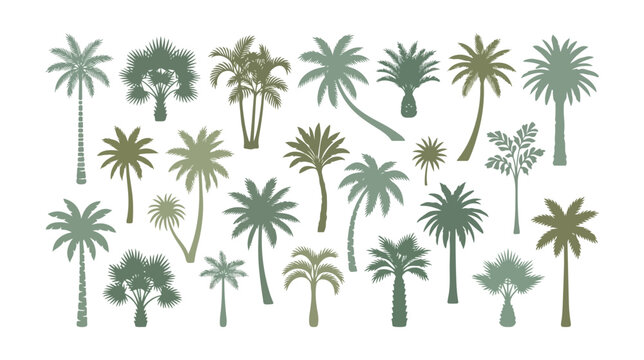 Tropical palm tree silhouettes in sage green, 22 botanical vector elements, minimalist exotic foliage icons for summer branding and vacation design