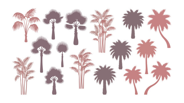Tropical palm tree silhouettes, 14 rose gold and dusty purple botanical vector elements, exotic summer foliage icons for vacation branding