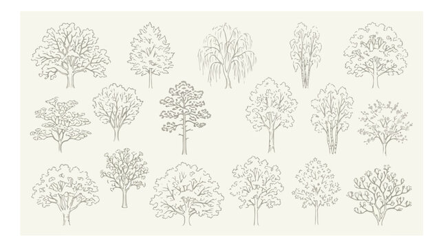 Vintage hand drawn tree sketches, set of 16 botanical line art illustrations, rustic forest and garden tree vector collection for landscape design