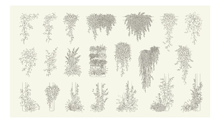 Vintage botanical line art collection, 21 hand drawn hanging plants and climbing vines vector, elegant floral sketch elements for wedding stationery © xantii