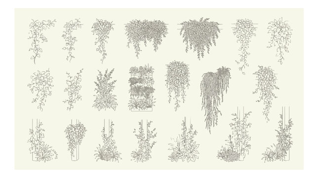 Vintage botanical line art collection, 21 hand drawn hanging plants and climbing vines vector, elegant floral sketch elements for wedding stationery
