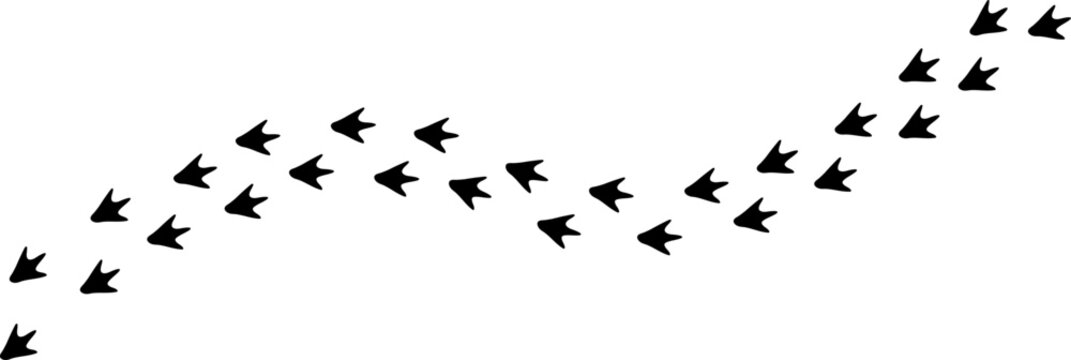 Penguin Footprint Trail Pattern Vector Illustration, Antarctic Bird Track Path Silhouette Collection, Wildlife Foot Print Route Design Isolated on White Background