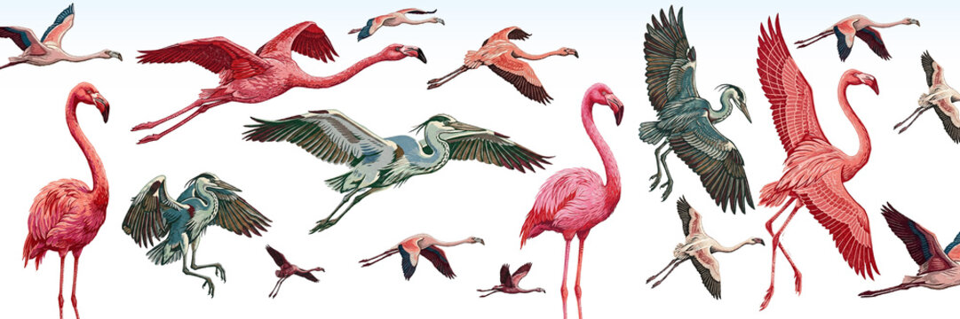 Pink flamingo, heron, crane, fly, flock, instinct, stamp, engraving, impression