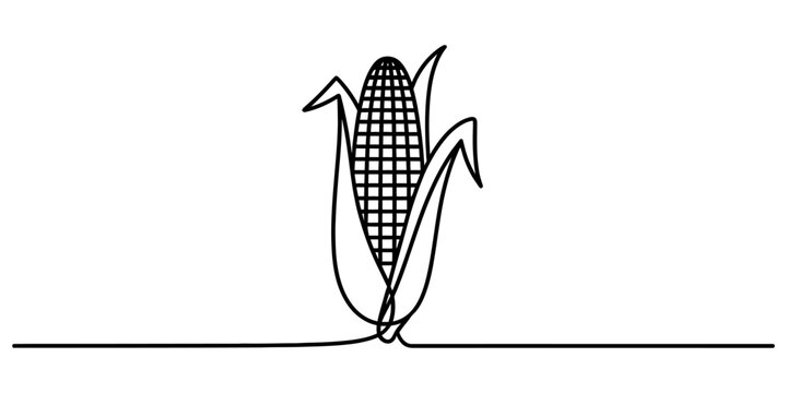 Continuous single line drawing of a fresh corn cob vegetable Vector, illustration