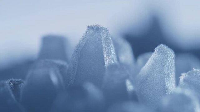 Extreme macro close-up of petal or leaf tips covered with tiny dew-like beads under soft cool light, forming delicate textured edges and abstract natural detail