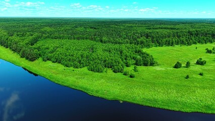 Obraz premium Aerial view of lush green forest meeting the calm river under a clear blue sky