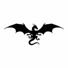 Fototapeta premium dragon with wings