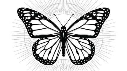 Monarch butterfly vector illustration, black and white butterfly line art with celestial sunburst mandala, mystical insect graphic for tattoo design © Fahad