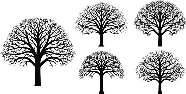 Black silhouette illustration of five leafless trees with intricate branches&mdash;ideal for nature design, tree morphology, and artistic or seasonal projects.