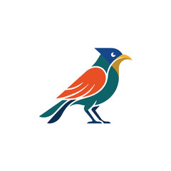 Fototapeta premium Colorful bird with orange wing and blue head standing on white background.