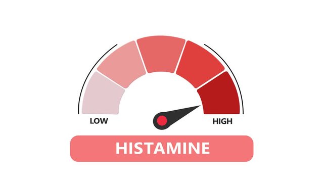 Histamine level gauge meter animation, medical concept representing allergy and inflammation risk animated with alpha channel