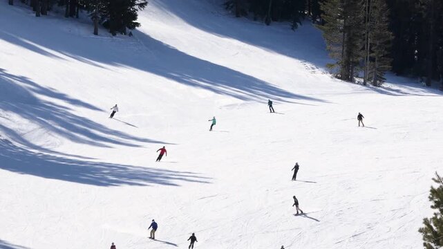 People skiing and snowboarding down a snowy mountain slope on a sunny day with trees in the background