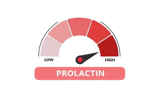 Prolactin hormone level gauge animation, medical diagnostic indicator for prolactin levels animated with alpha channel .