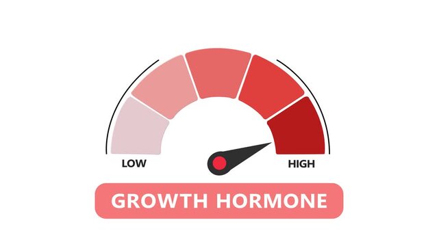 Growth hormone level gauge animation: measuring biological hormone levels from low to medical gauge health indicator animated with alpha channel .