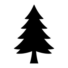 Fototapeta premium Fir Tree Standing Alone Silhouette
