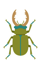 Fototapeta premium Symmetrical stylized stag beetle with bold flat shapes in teal tan and olive green isolated on white minimal nature design