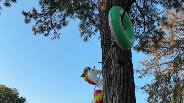 Inflatable swim ring and unicorn decoration hanging from a tree in a park. Summer fun, outdoor recreation, vacation, family leisure and playful seasonal lifestyle concept.