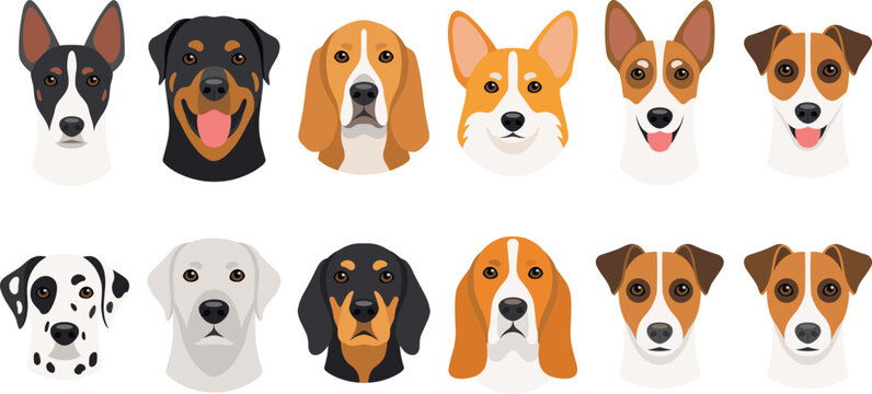 Cute dog breeds faces avatar icon set including rottweiler corgi dalmatian beagle and labrador flat vector illustration