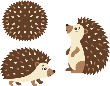 Cute Cartoon Hedgehog Character Vector Set Featuring Various Poses Sitting Walking and Rolling Into a Ball for Kids Graphic Designs