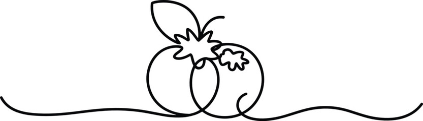 Blueberry pair with small leaf in continuous line art, minimalist sweet forest berry single stroke icon, modern artistic outline illustration for organic product, © EDEN QUEEN