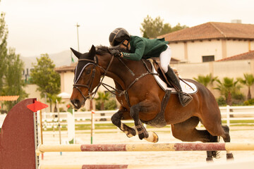 Obraz premium jumping horse
