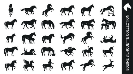 Obraz premium Professional equine silhouette collection featuring horses, mares, foals, and mythical creatures in diverse poses for creative graphic design projects