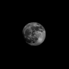 Obraz premium full moon in the night